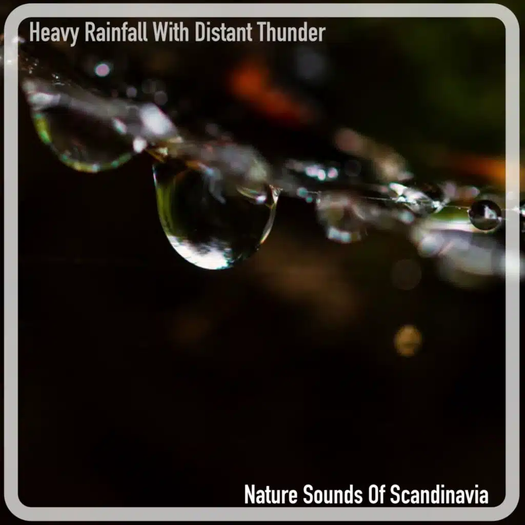 Nature Sounds Of Scandinavia
