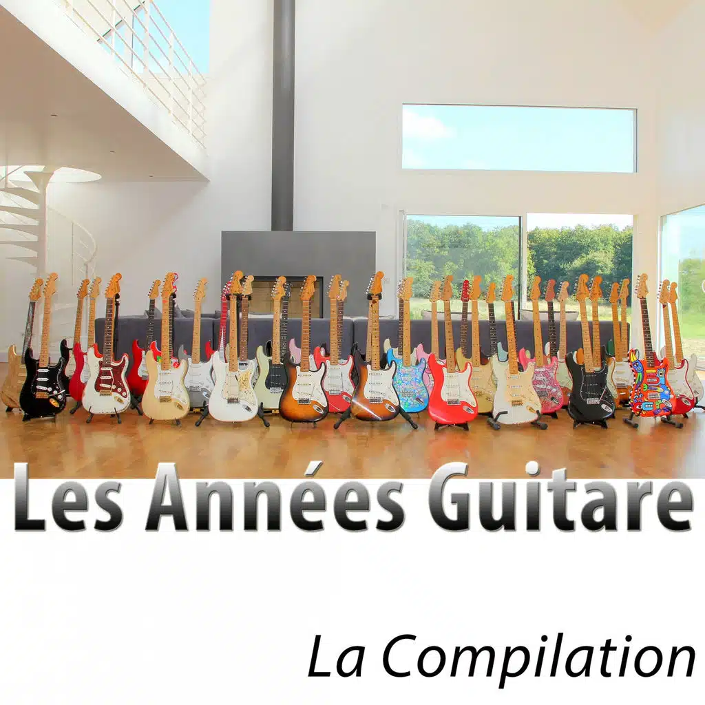 Les années guitare