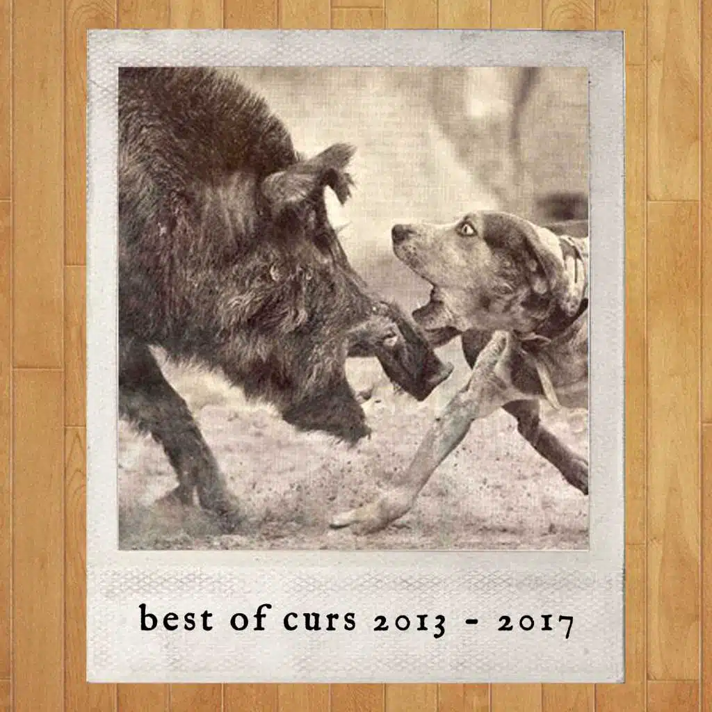 Best of Curs 2013 - 2017