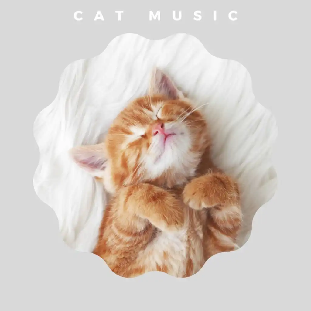 Soft Music For Cats