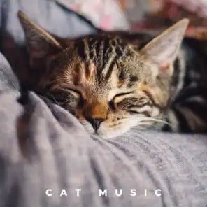 Gentle Music For Cats
