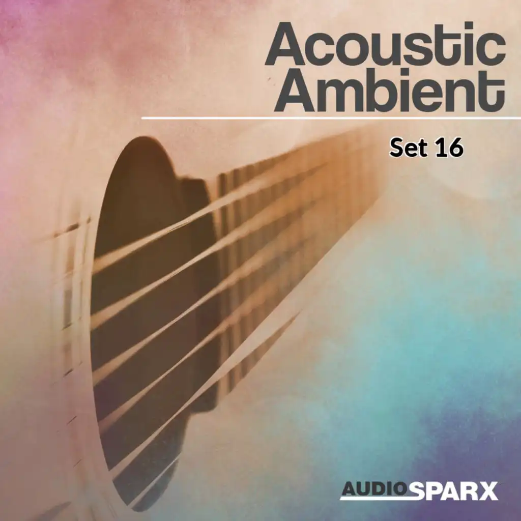 Acoustic Ambient, Set 16