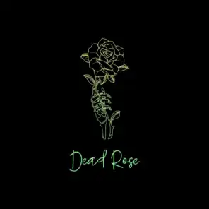 Dead Rose (Remix)