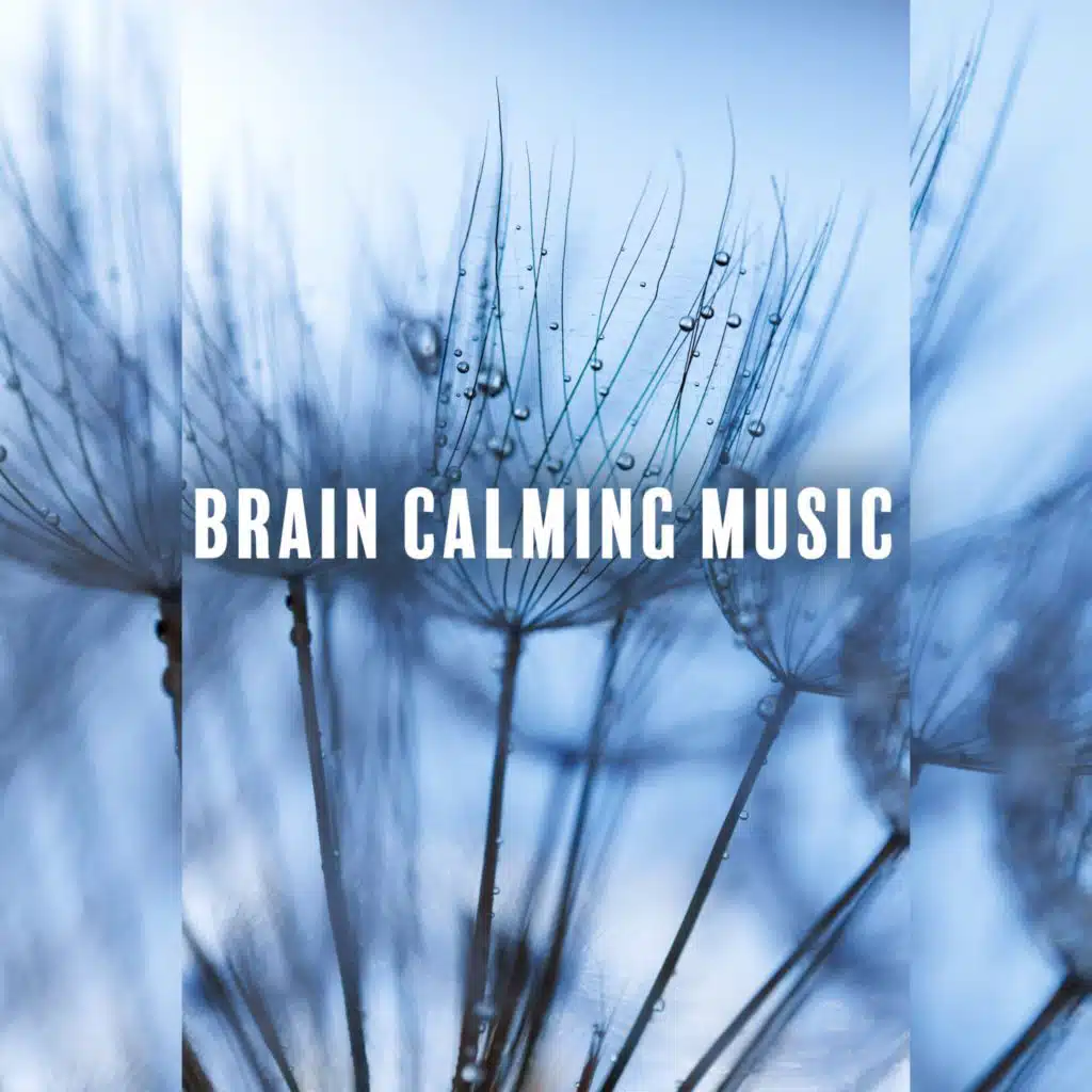 Quietly Mind