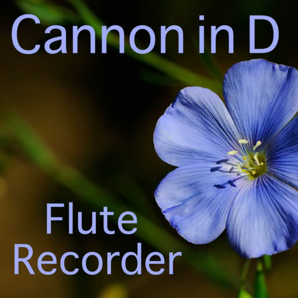 Cannon in D: Flute Recorder