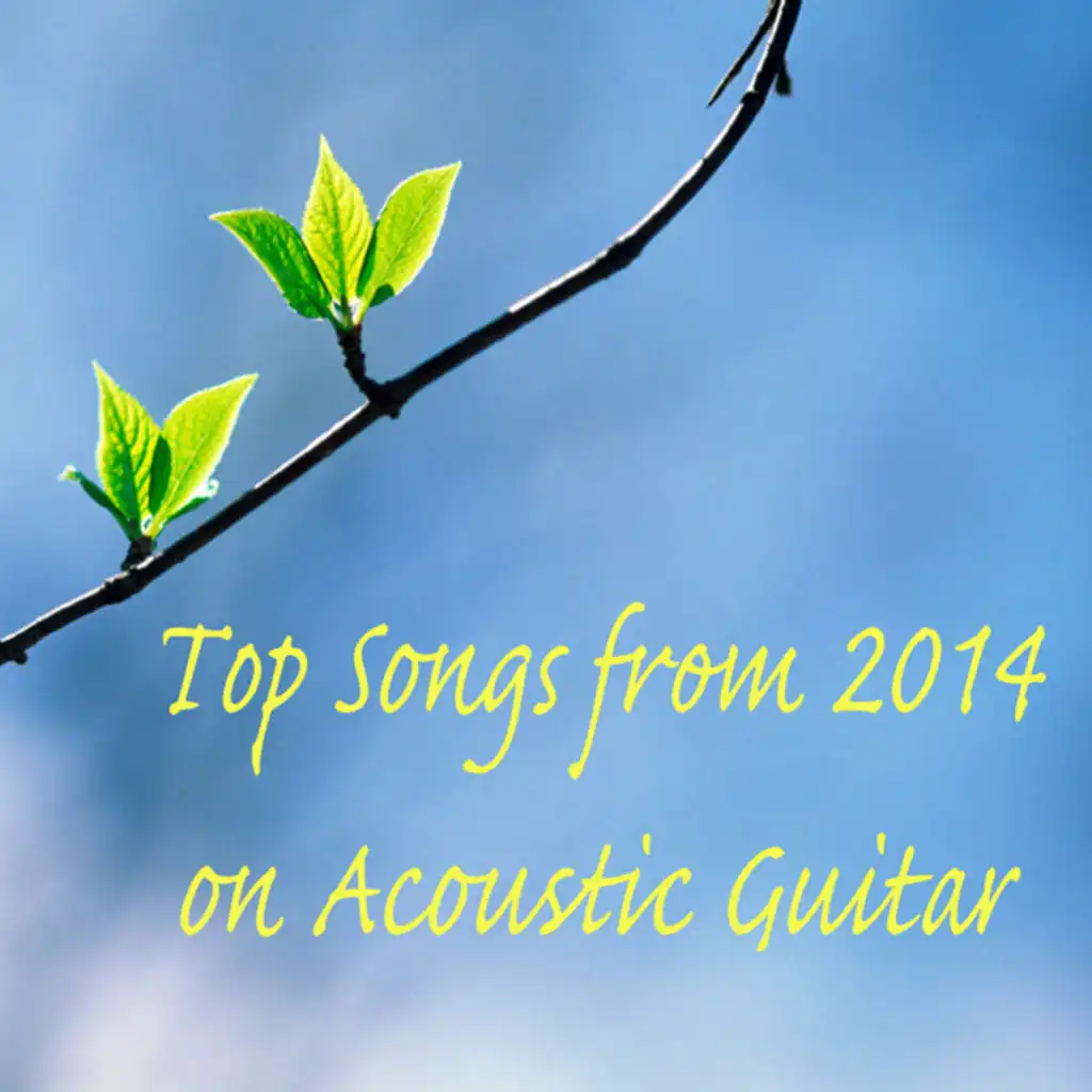 Top Songs from 2014 on Acoustic Guitar