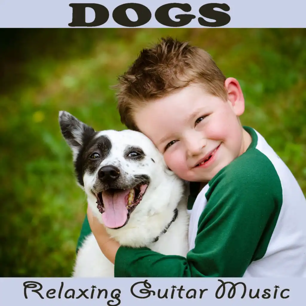 Dogs: Relaxing Guitar Music