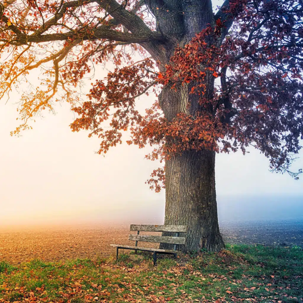 Музыка для массажа