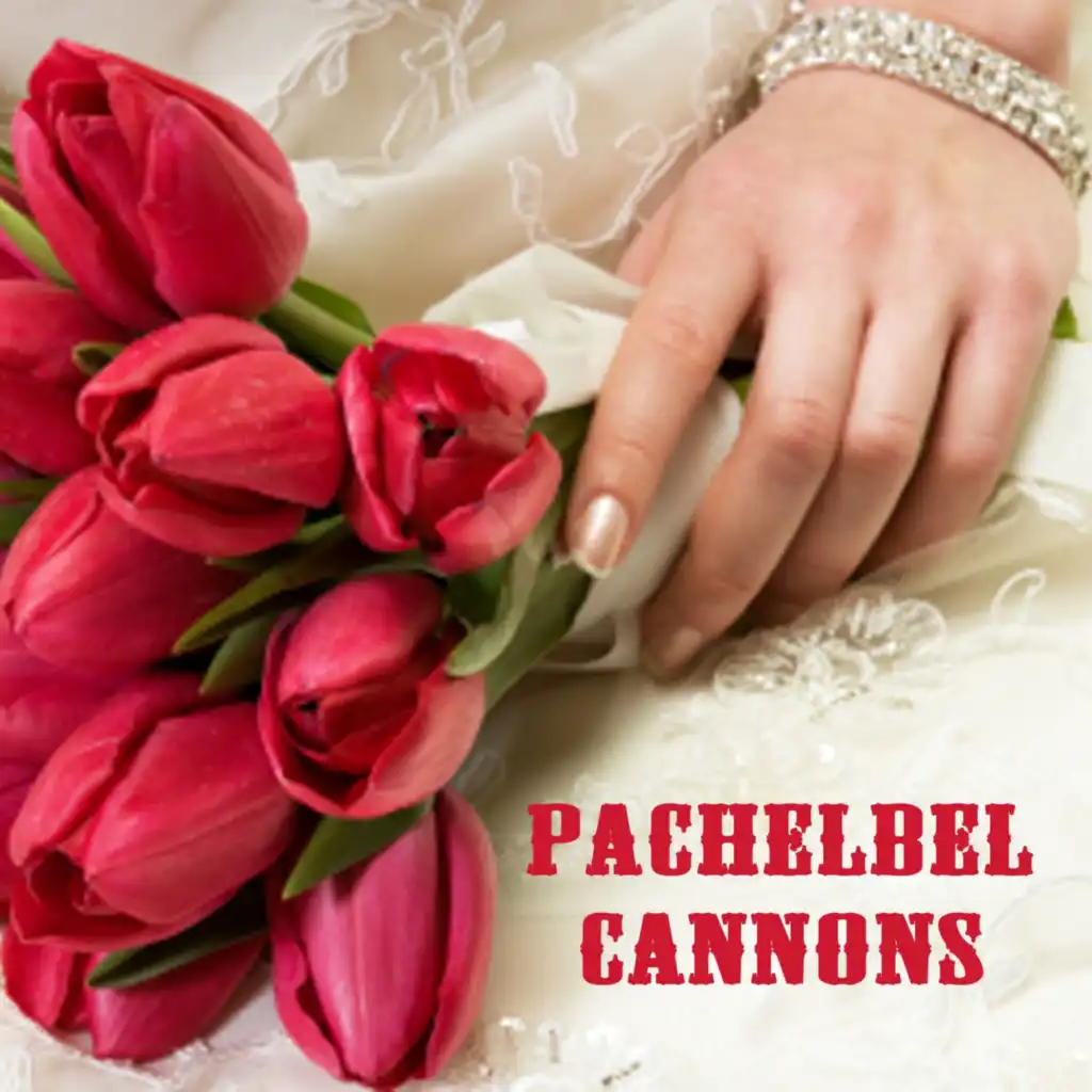 Pachelbel Cannons