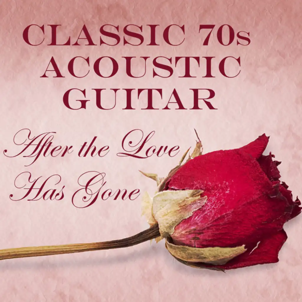 Classic 70s Acoustic Guitar: After the Love Has Gone