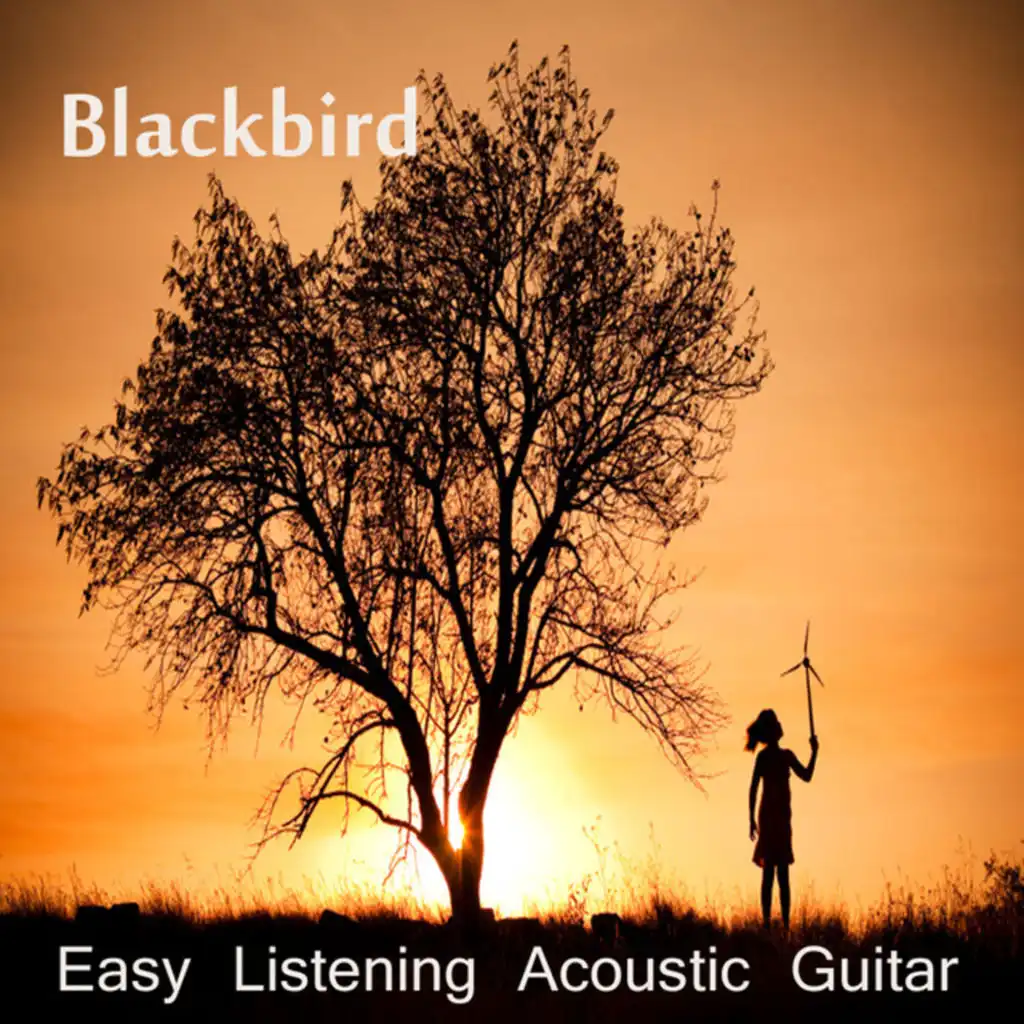 Easy Listening Acoustic Guitar: Blackbird