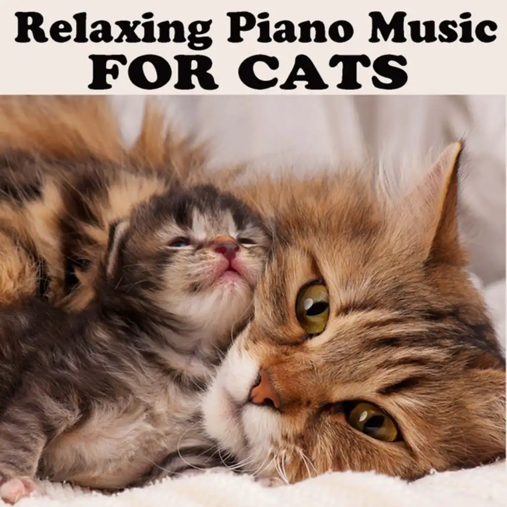 Relaxing Piano Music for Cats