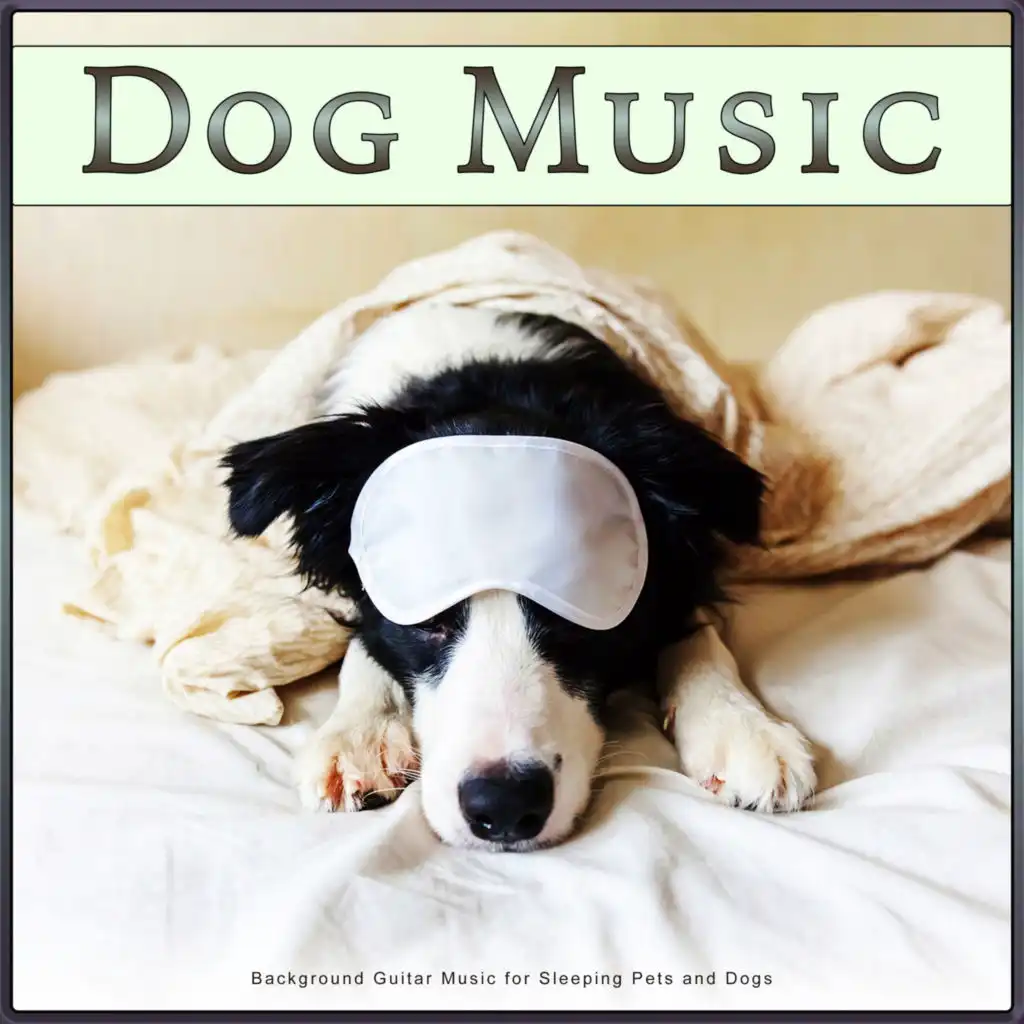 Dog Music Bliss, Dog Solitude & Dog Music