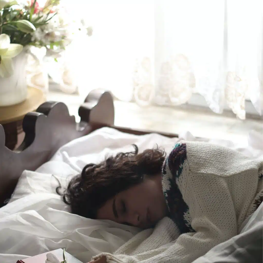 Cat Music & Dog Music