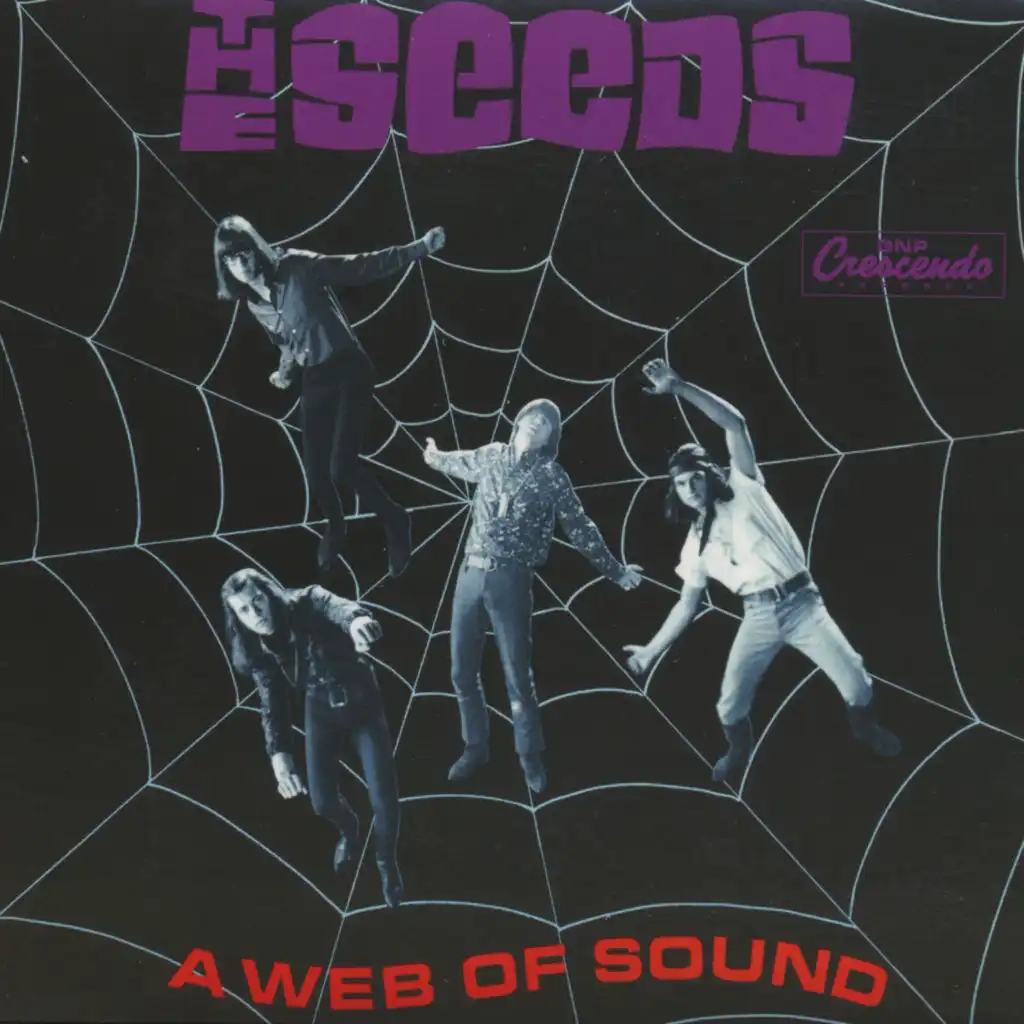 A Web of Sound (Deluxe Reissue)