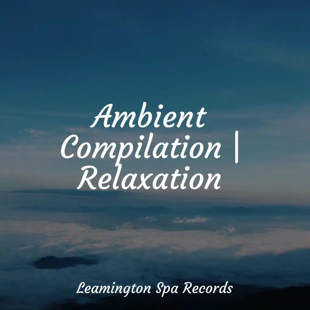 Ambient Compilation | Relaxation