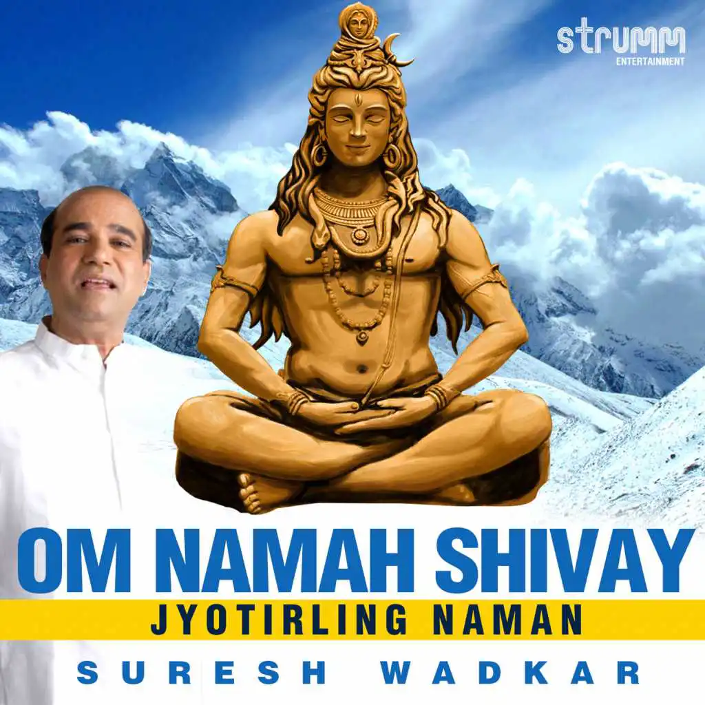 Om Namah Shivay (Jyotirling Naman) - Single