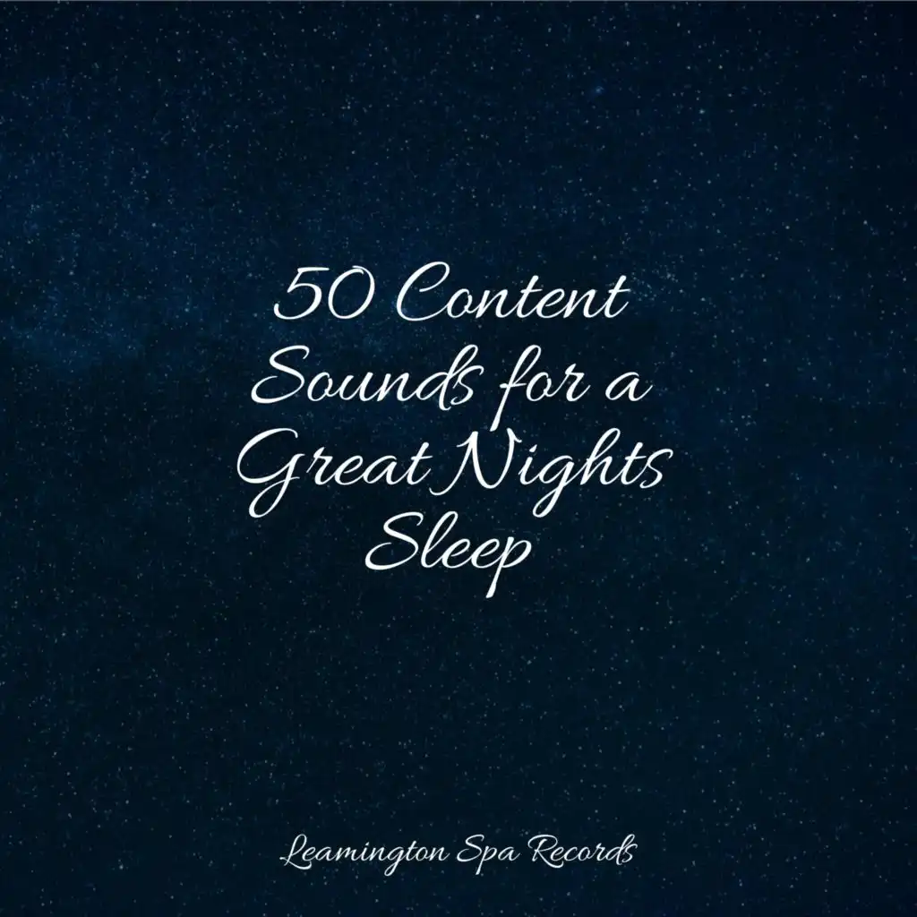 50 Content Sounds for a Great Nights Sleep