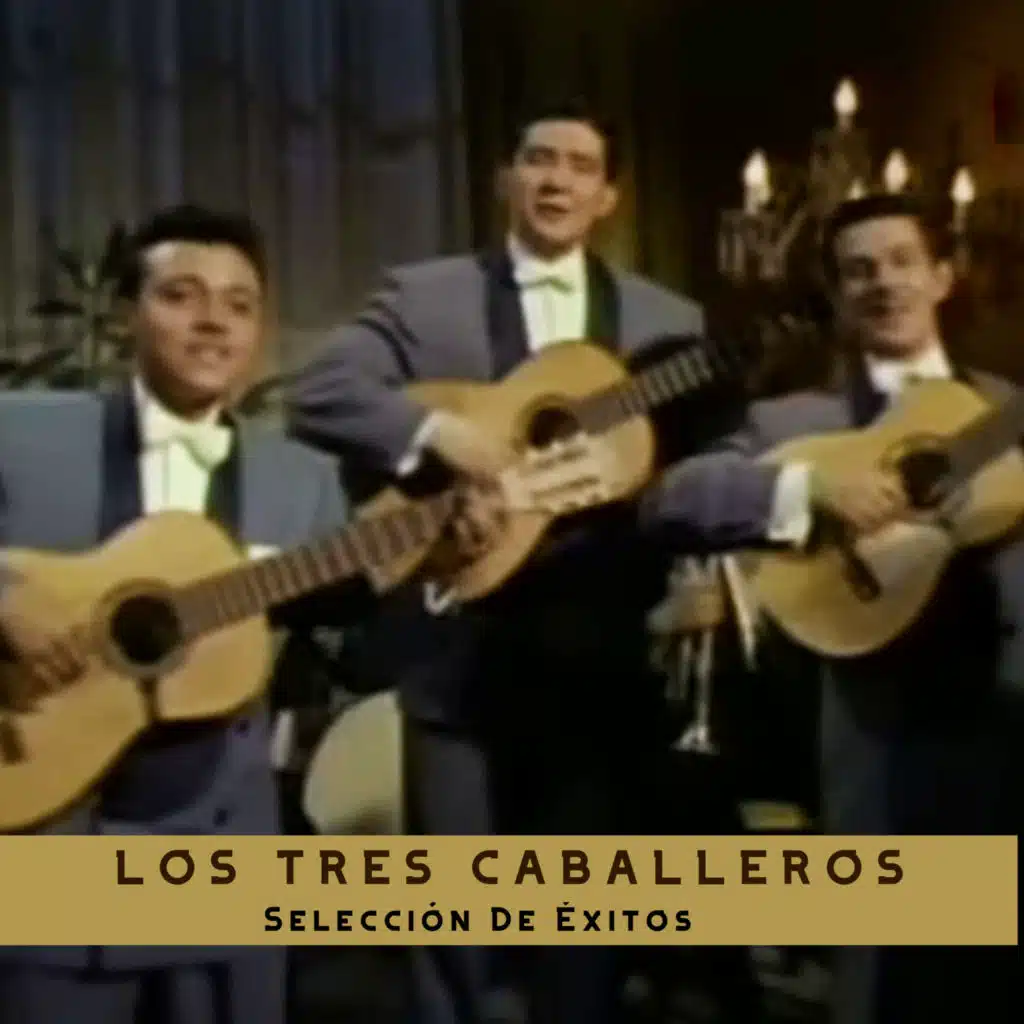 Selección De Éxitos