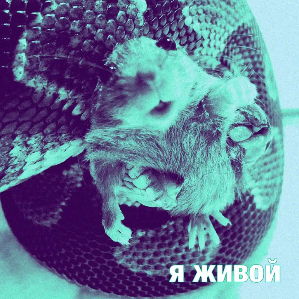 Фанк