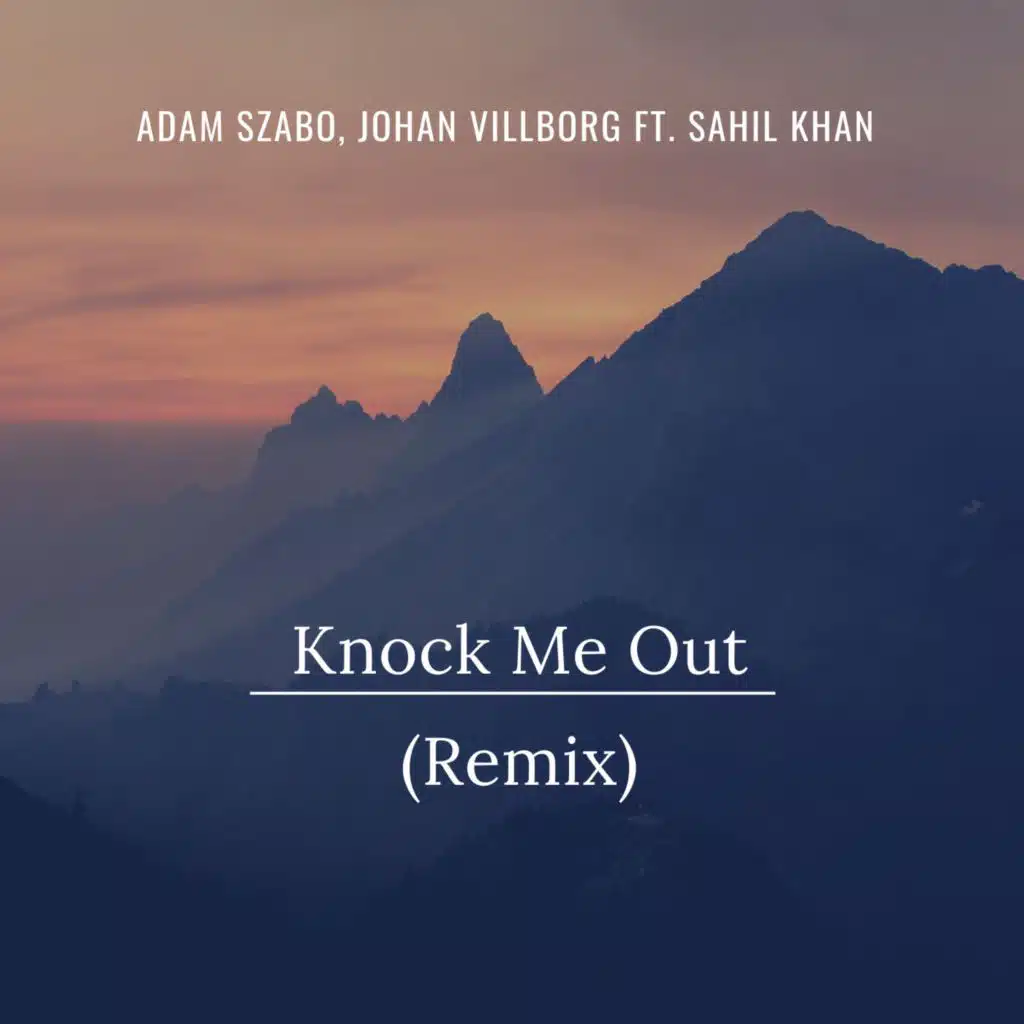 Knock Me Out (Remix)