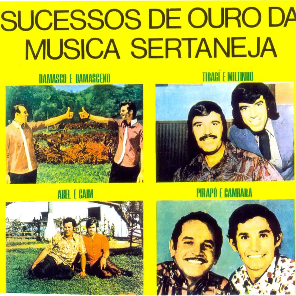 Sucessos de Ouro da Música Sertaneja