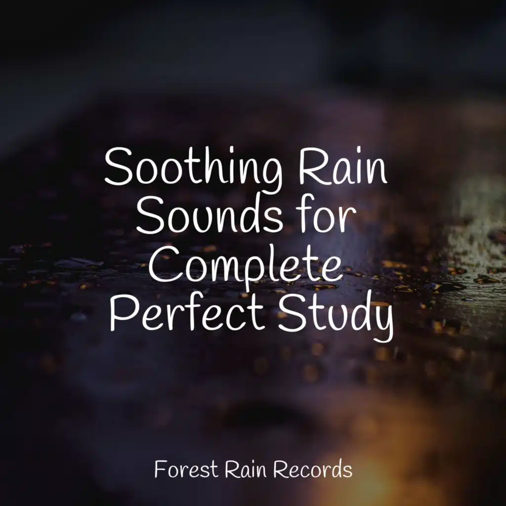 Soothing Rain Sounds for Complete Perfect Study