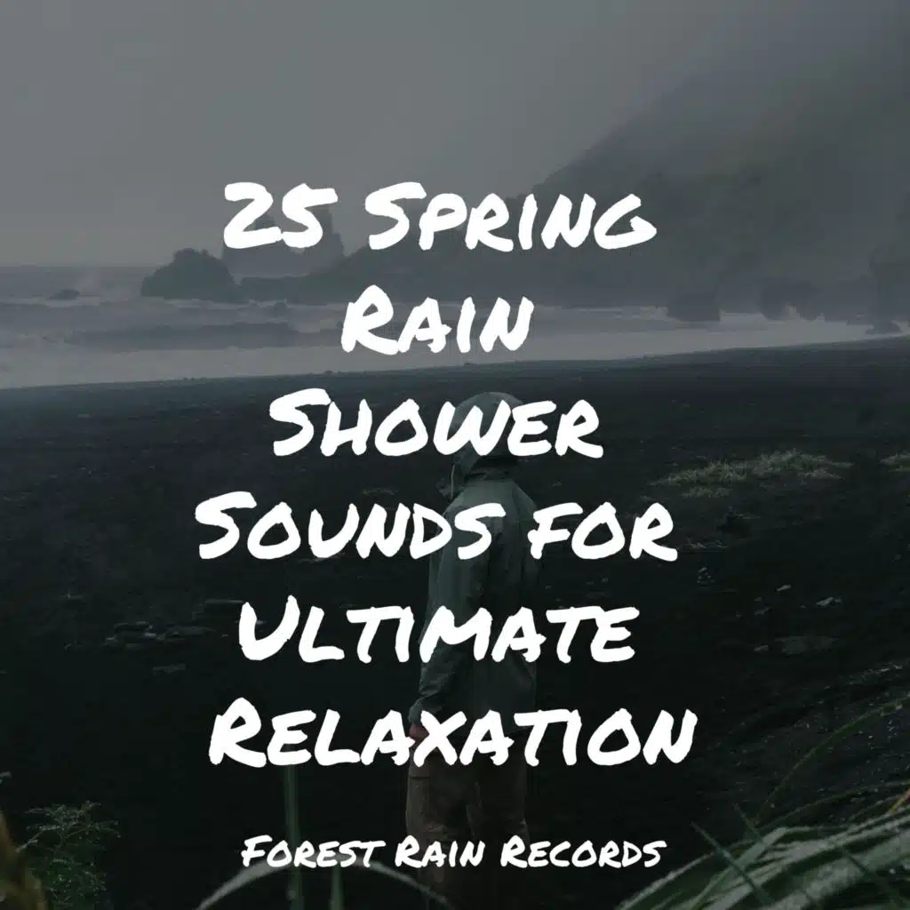 Seagulls on the Beach