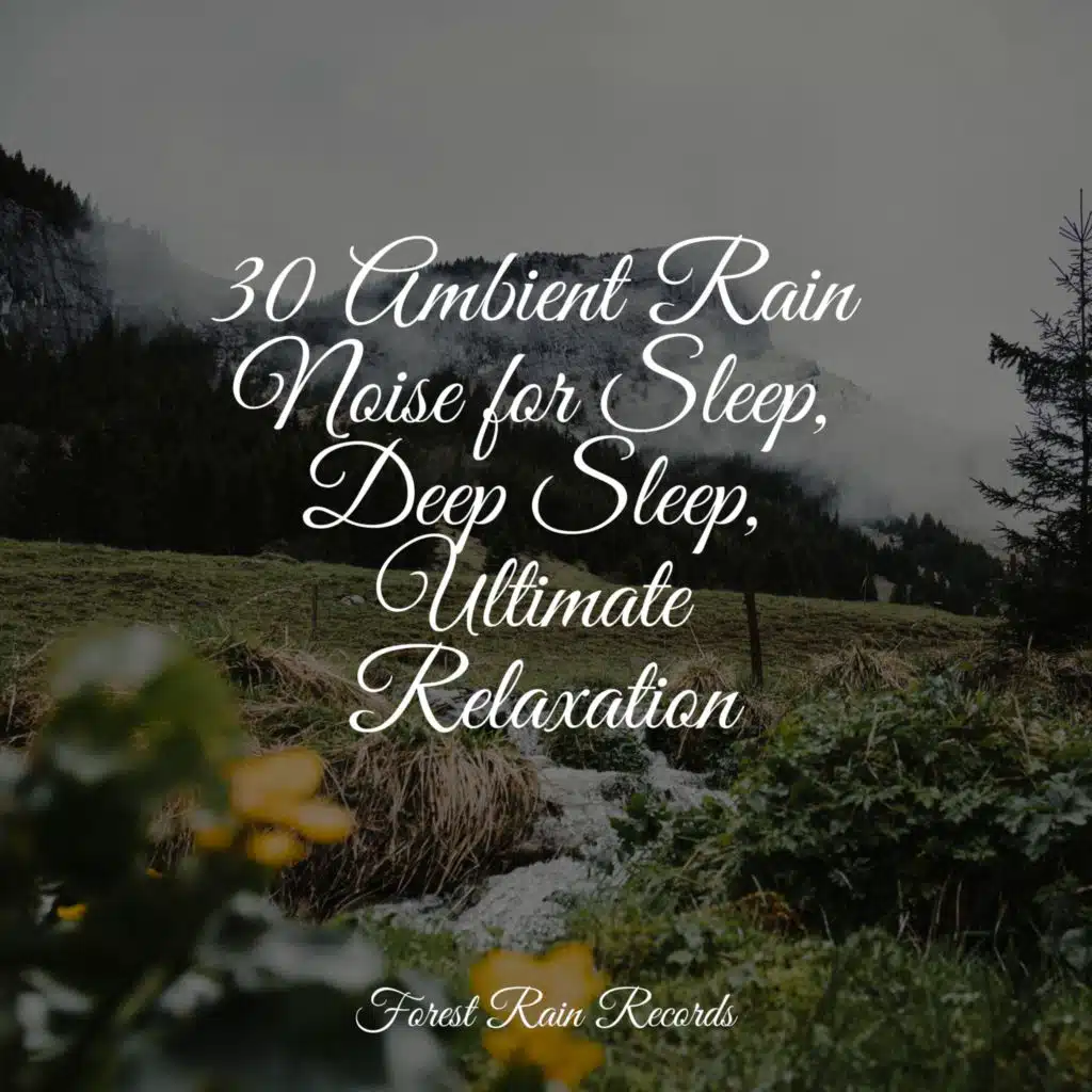 30 Ambient Rain Noise for Sleep, Deep Sleep, Ultimate Relaxation