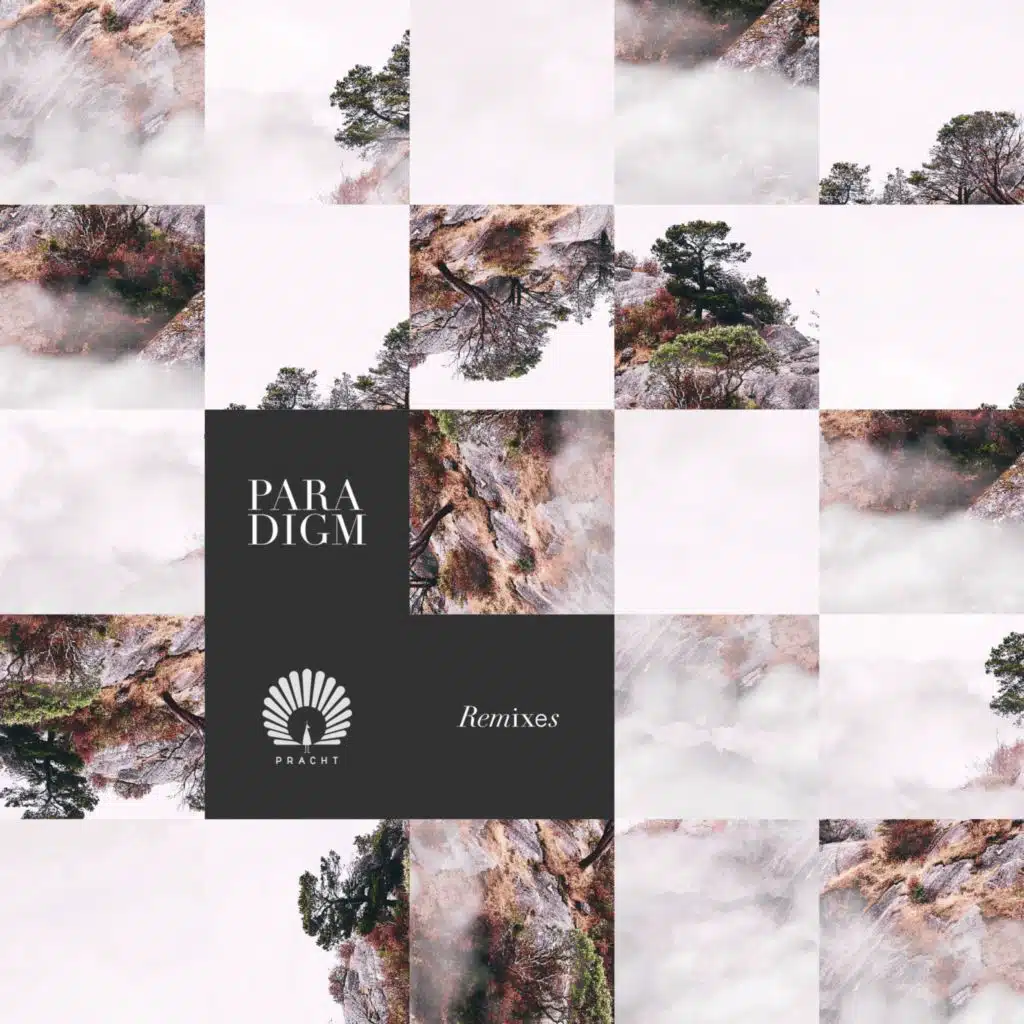 Packard (Mihai Popoviciu Remix)