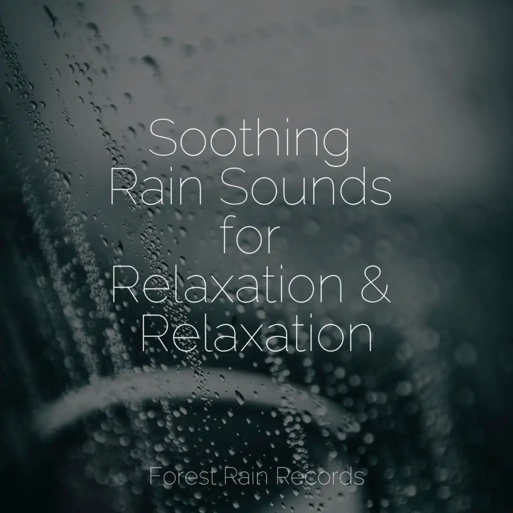 Soothing Rain Sounds