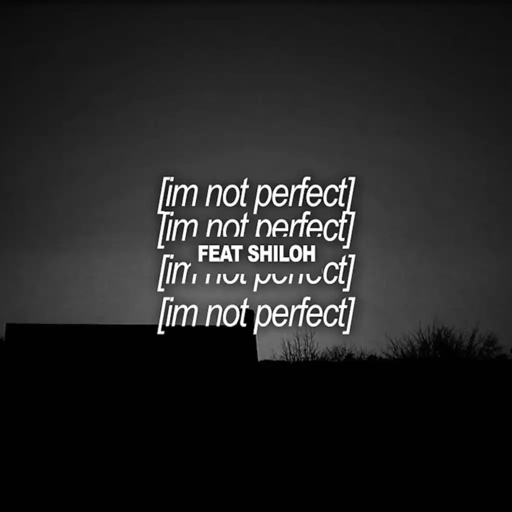 i'm not perfect