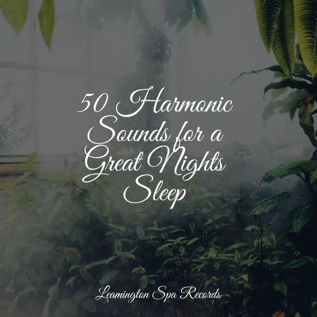 50 Harmonic Sounds for a Great Nights Sleep
