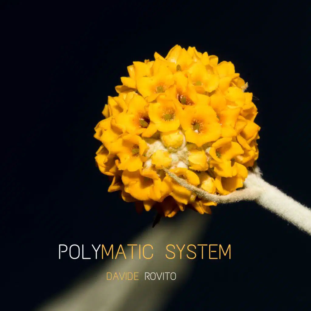 Polymatic System