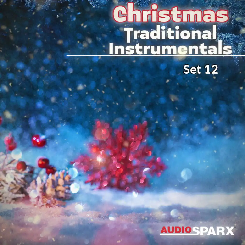 Christmas Traditional Instrumentals, Set 12