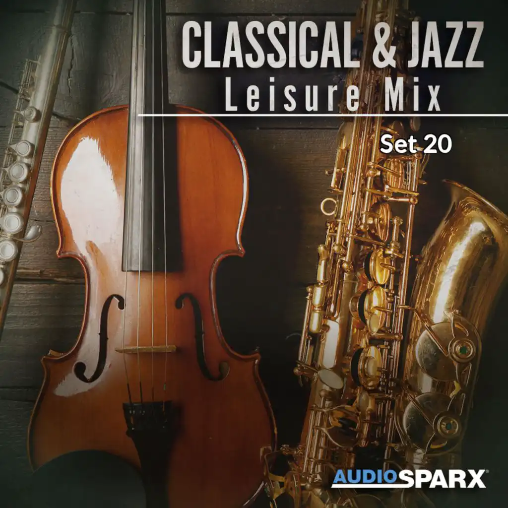 Classical & Jazz Leisure Mix, Set 20