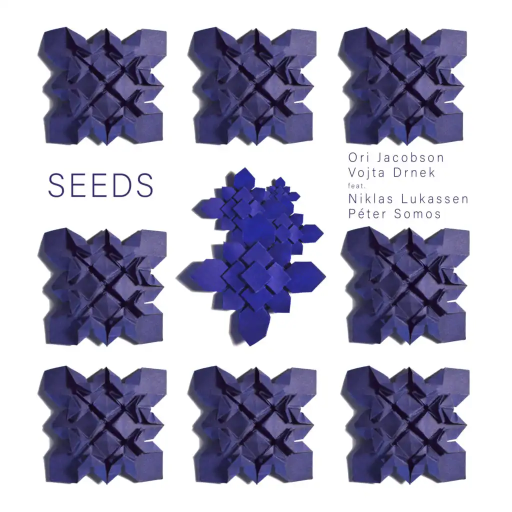 Seeds (feat. Peter Somos & Niklas Lukassen)