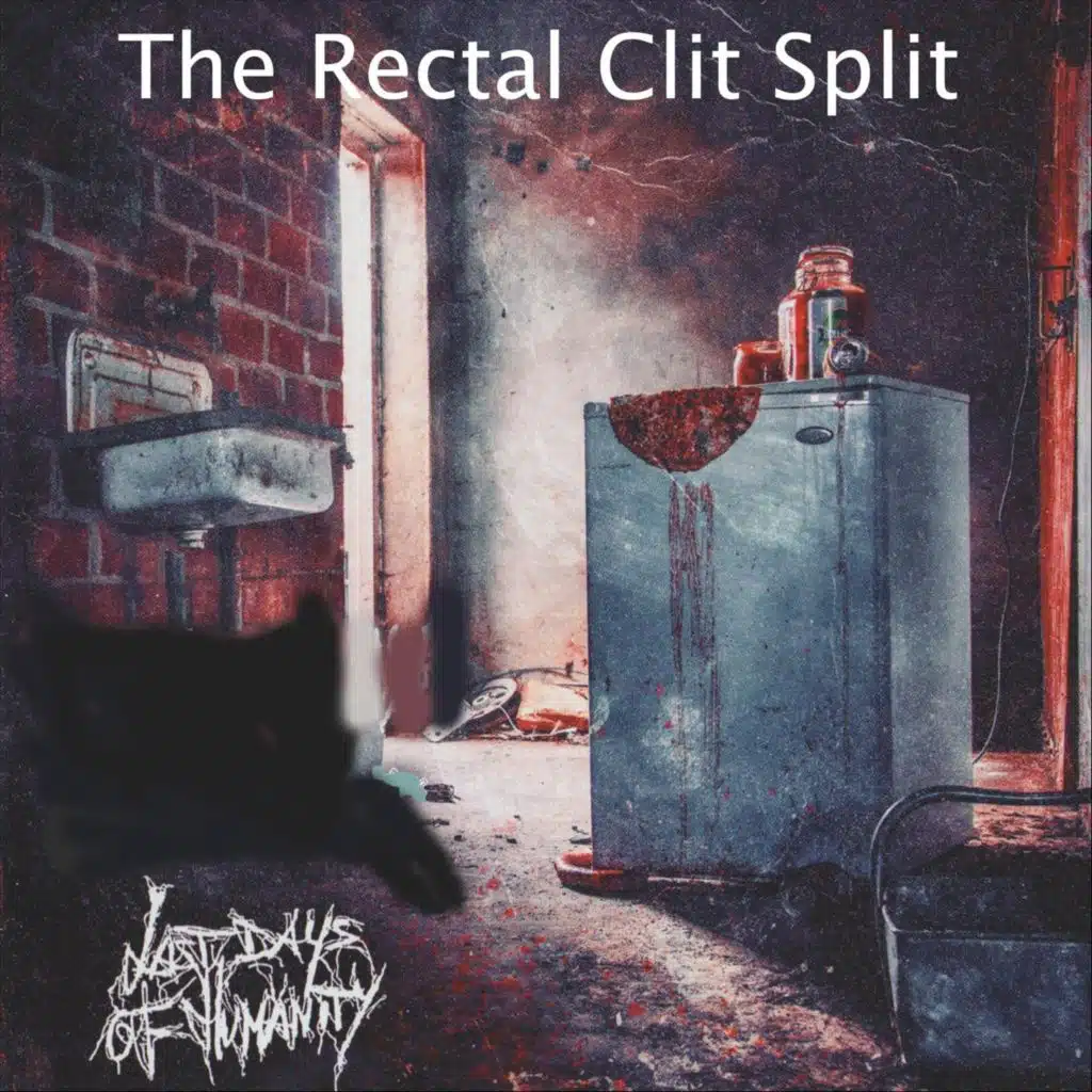 The Rectal Clit Split