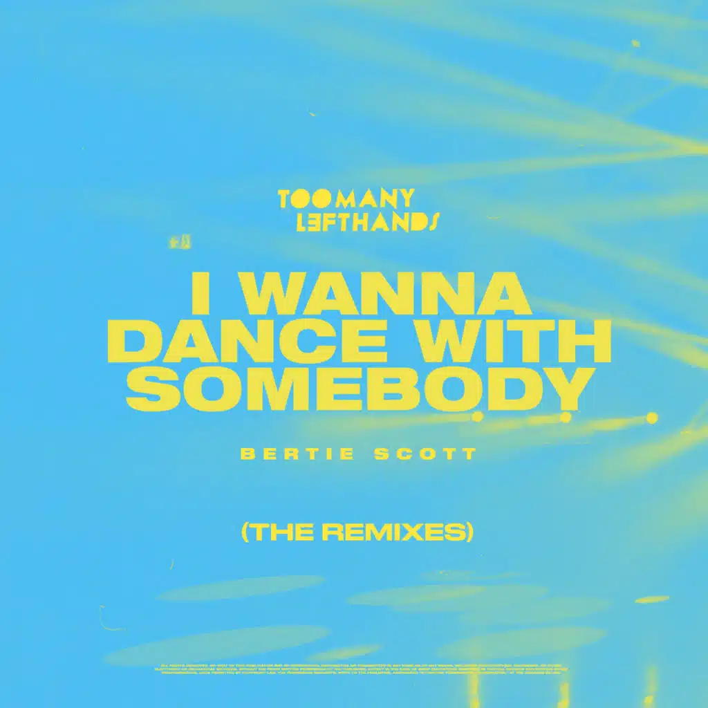 I Wanna Dance with Somebody (The Remixes)