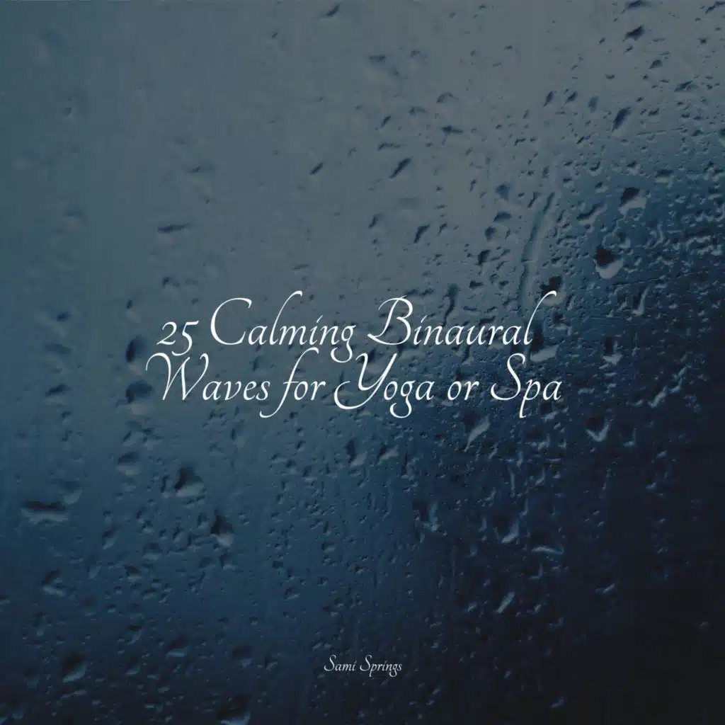 Seagulls on the Beach (Relaxing Ocean Waves)