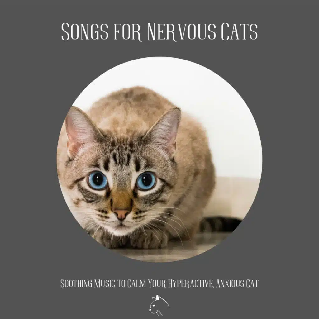 Songs for Nervous Cats - Soothing Music to Calm Your Hyperactive, Anxious Cat