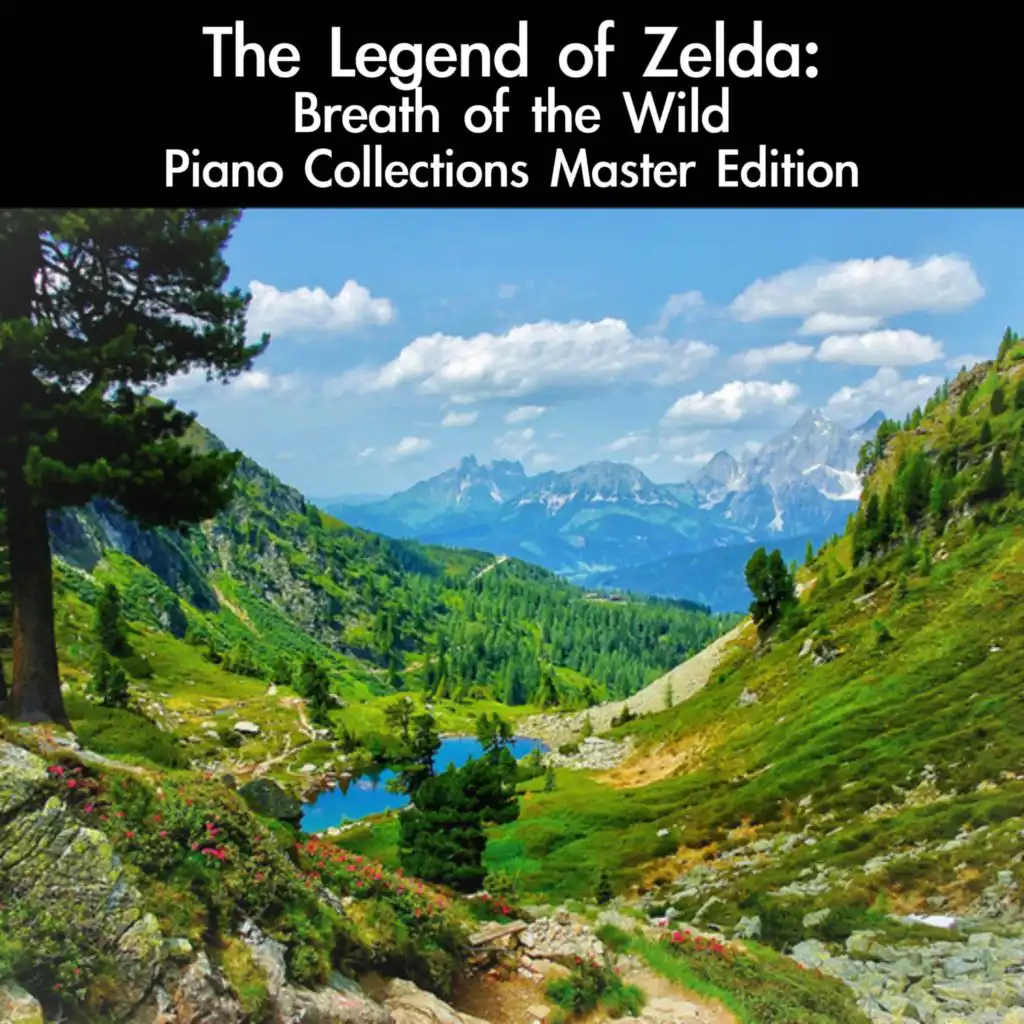 Field (Night) [From "Zelda: Breath of the Wild"] [For Piano Solo]