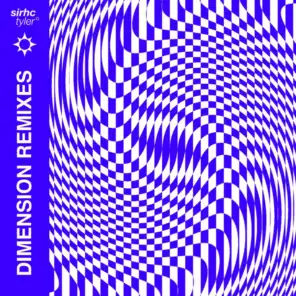 dimension (PIPVR Remix)