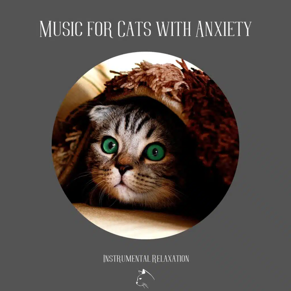 Music for Cats Peace, Relax Your Cat & Music for Cats Project