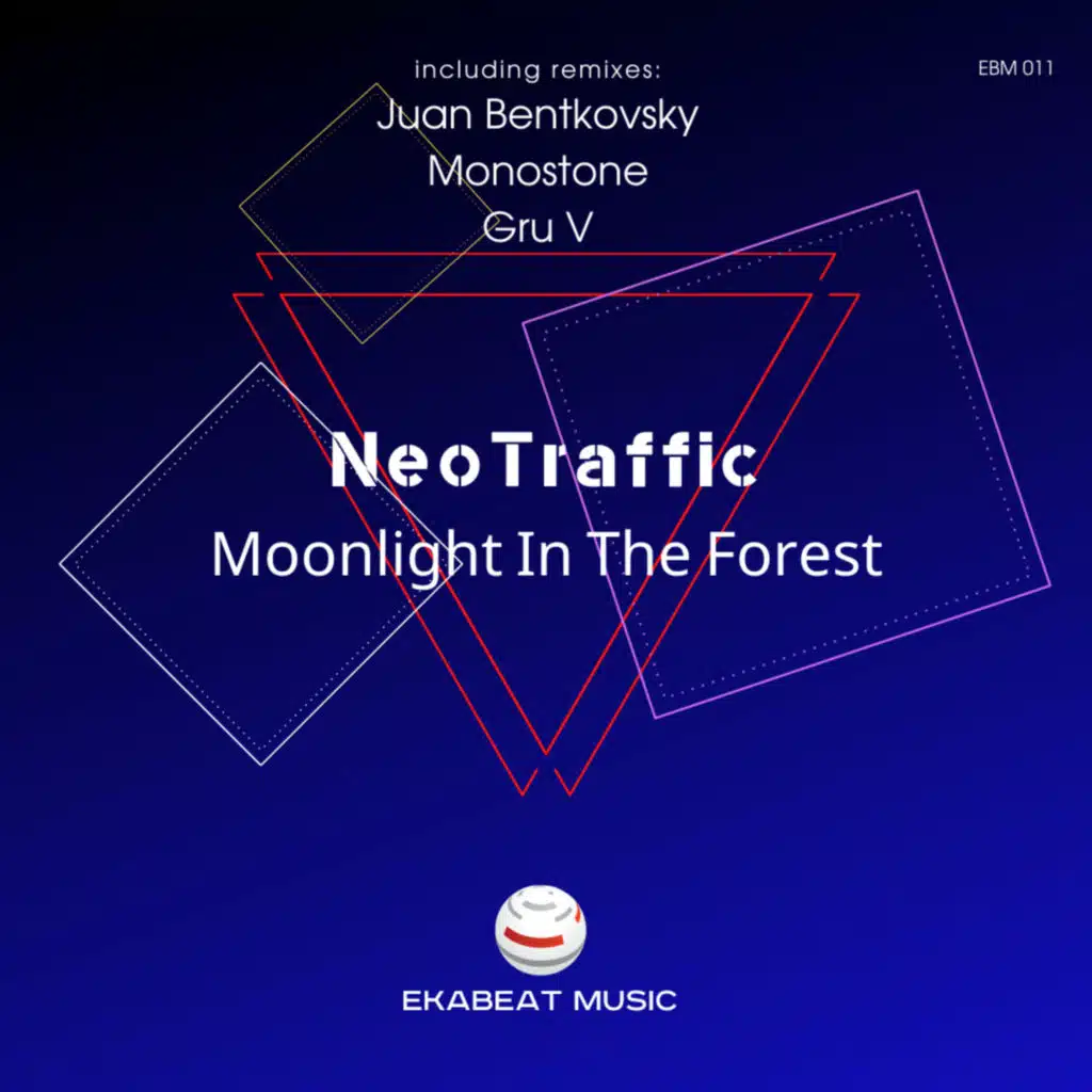 Moonlight (Gru v Remix)