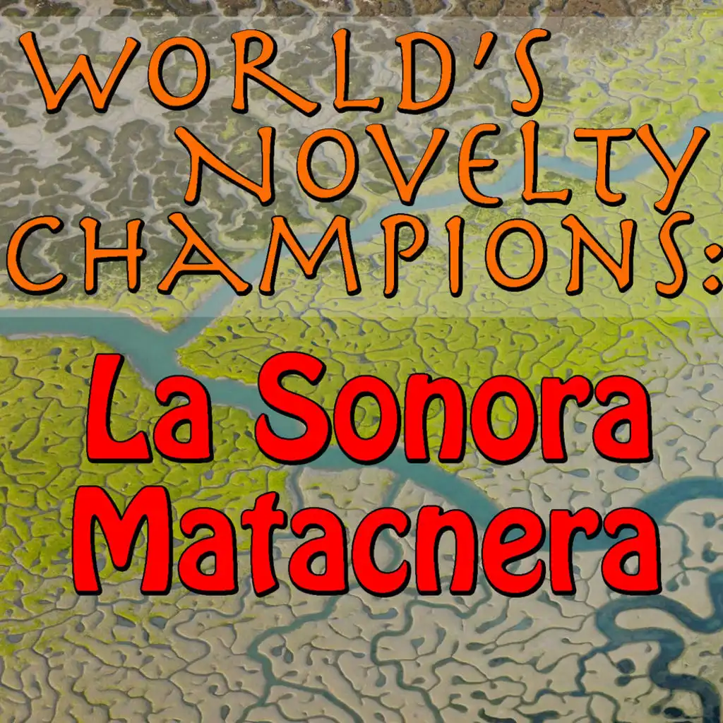 World's Novelty Champions: La Sonora Matacnera