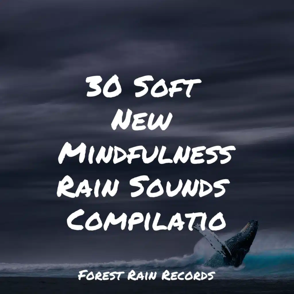 Ambient Nature White Noise & Meditation Zen