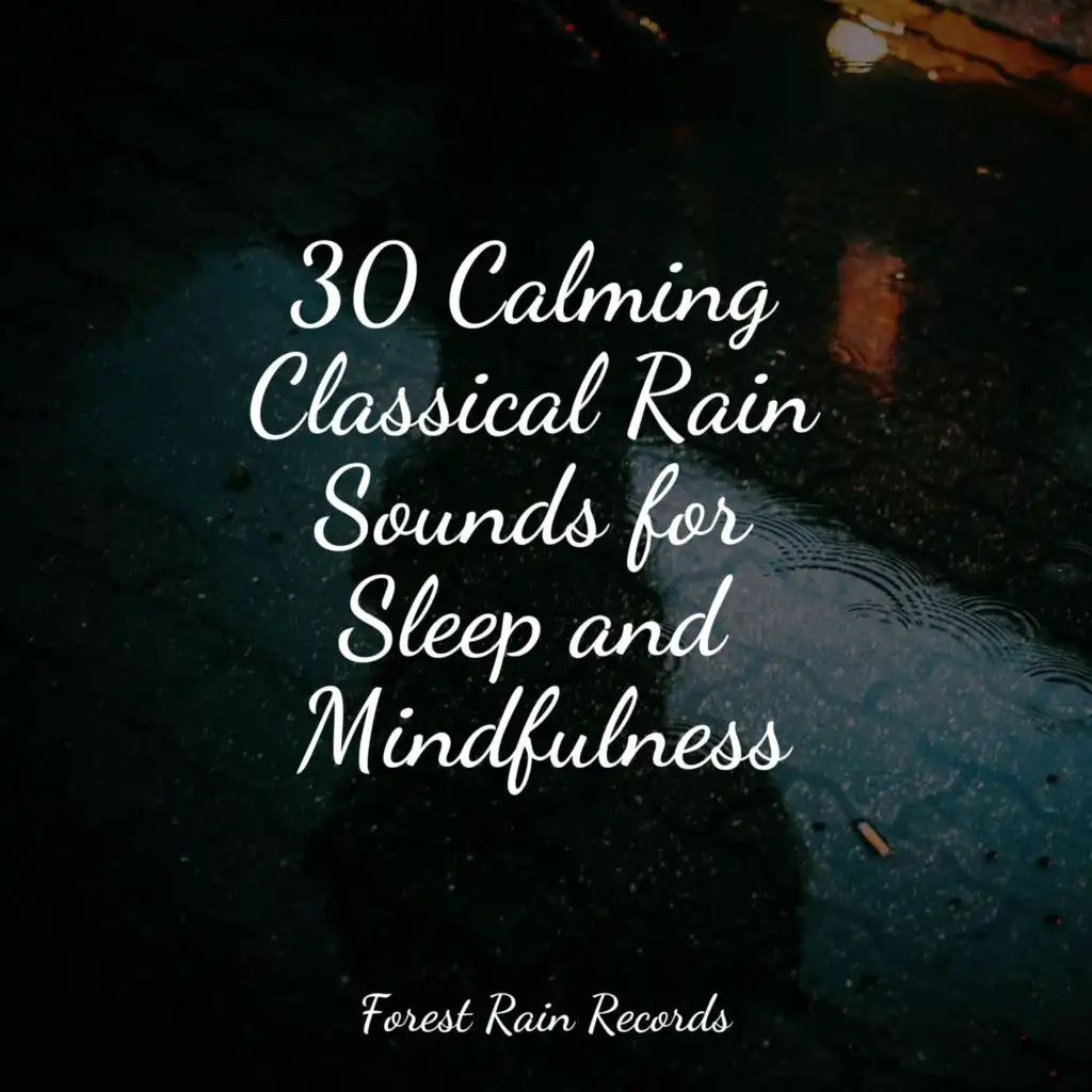 30 Calming Classical Rain Sounds for Sleep and Mindfulness by