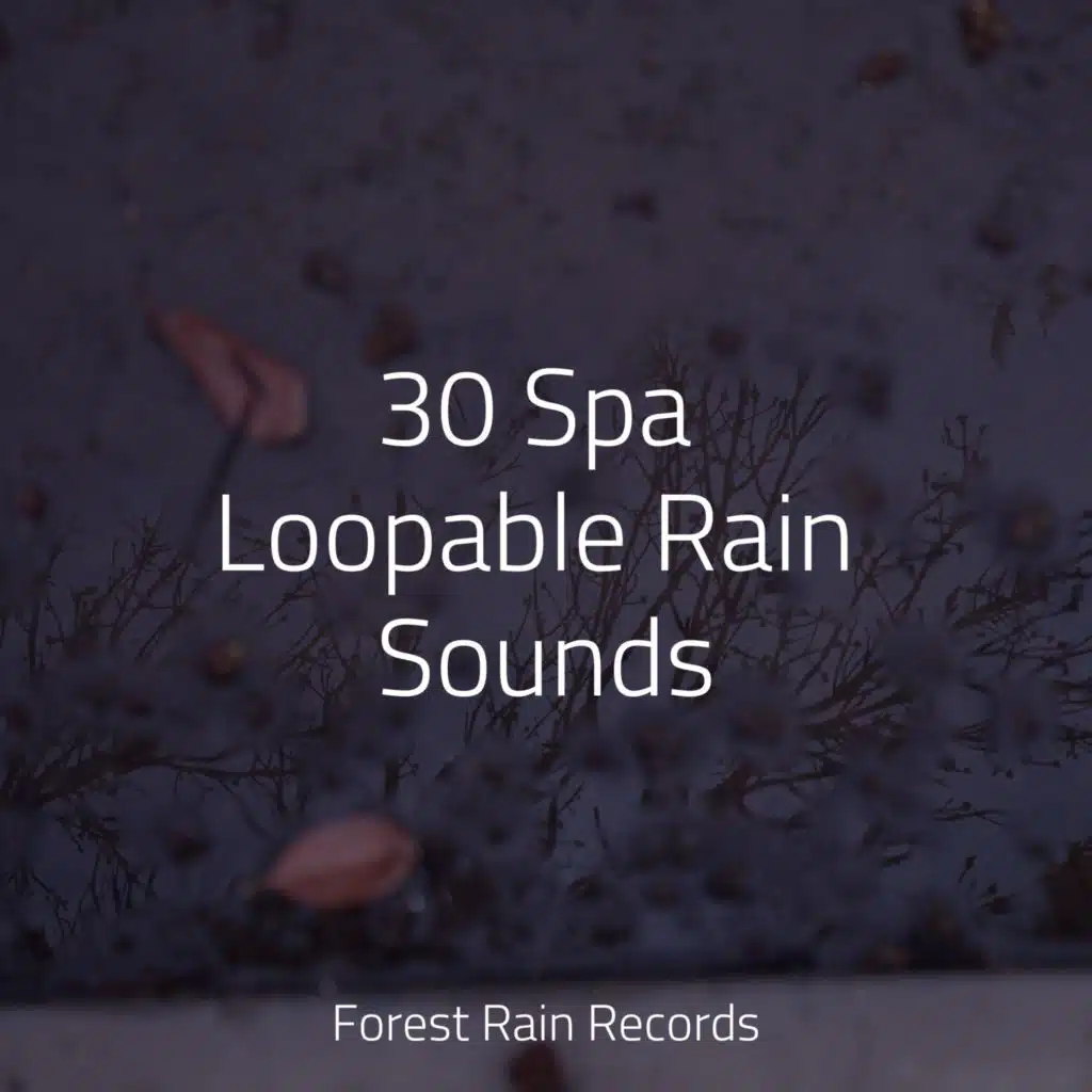 30 Spa Loopable Rain Sounds