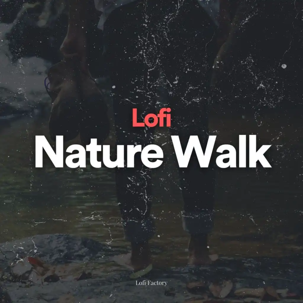 Lofi Nature Walk